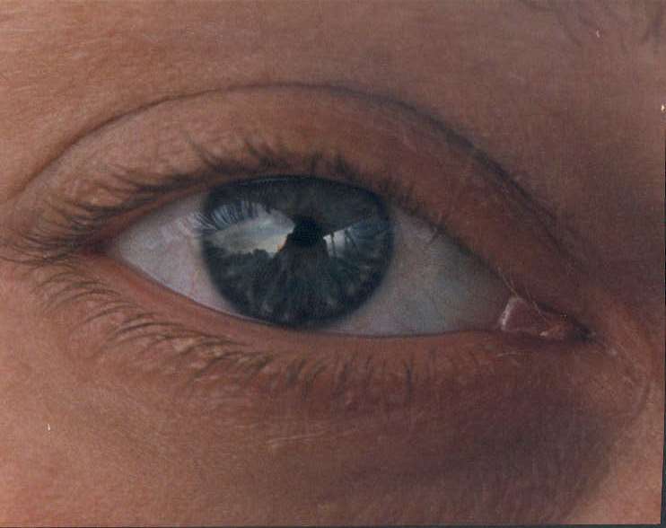 The human eye