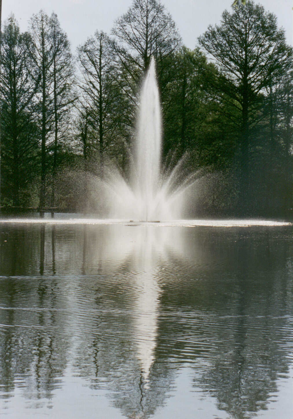 fountain
